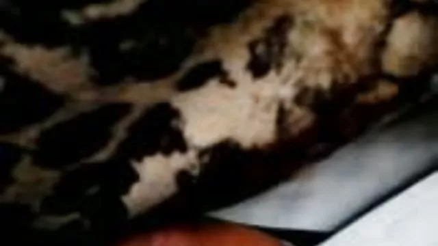 الكبار لا التسجيل في مقاطع سكس عربي جامد