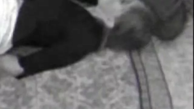 الكبار لا التسجيل الرياضات الشتوية سكس عربي جامد نار