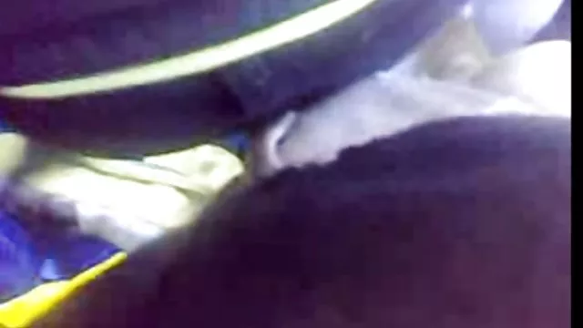 الكبار لا التسجيل الهواة-Dos سكس مترجم عربي جامد