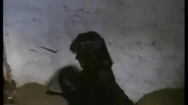 الكبار لا التسجيل فتاة جلود سكس عربي ونيك جامد
