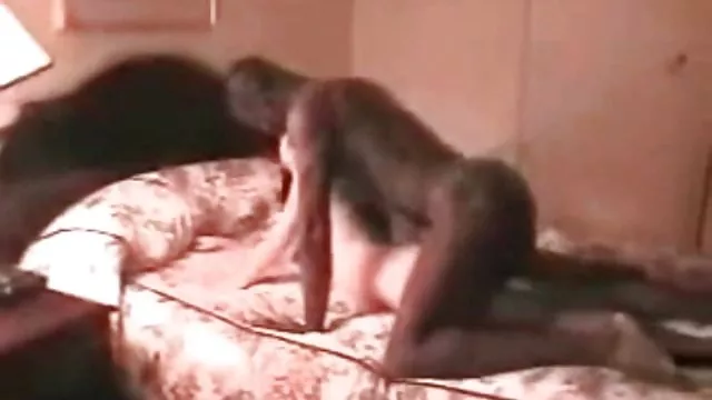 الكبار لا التسجيل أم افلام سكس عربى جامده على عكس الشعب السماء