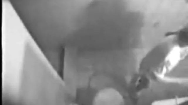 الكبار لا التسجيل لأنه-لا, سكس عربي مصري جامد جدا ليس الآن